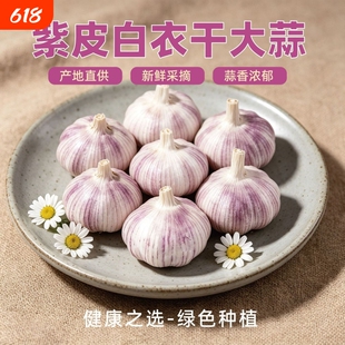 金乡蒜今年新干蒜头农家新鲜干大蒜头蒜种紫白皮当季蔬菜做腊八蒜