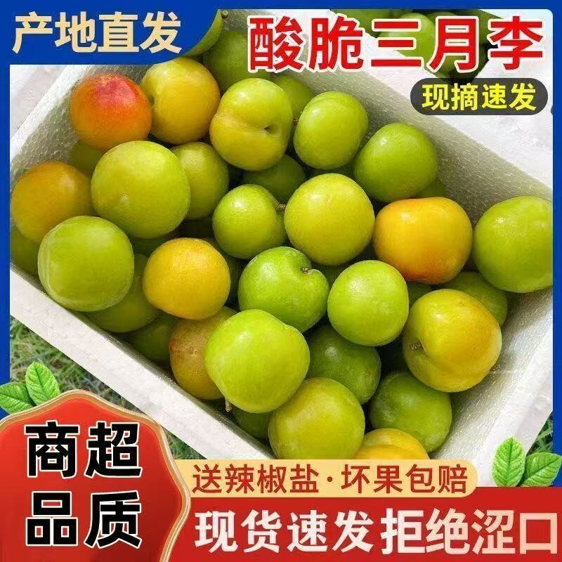 现摘青李子三月李5斤装新鲜珍珠李孕妇当季水果早熟酸脆三华李子