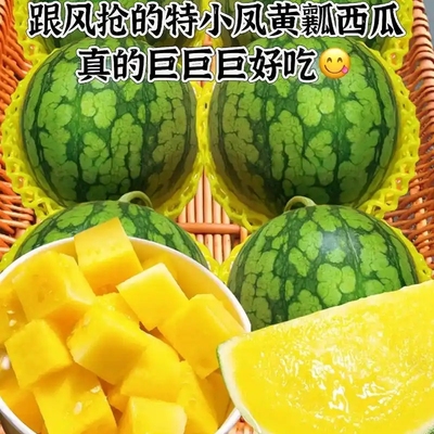冰淇淋黄心西瓜特小凤5斤