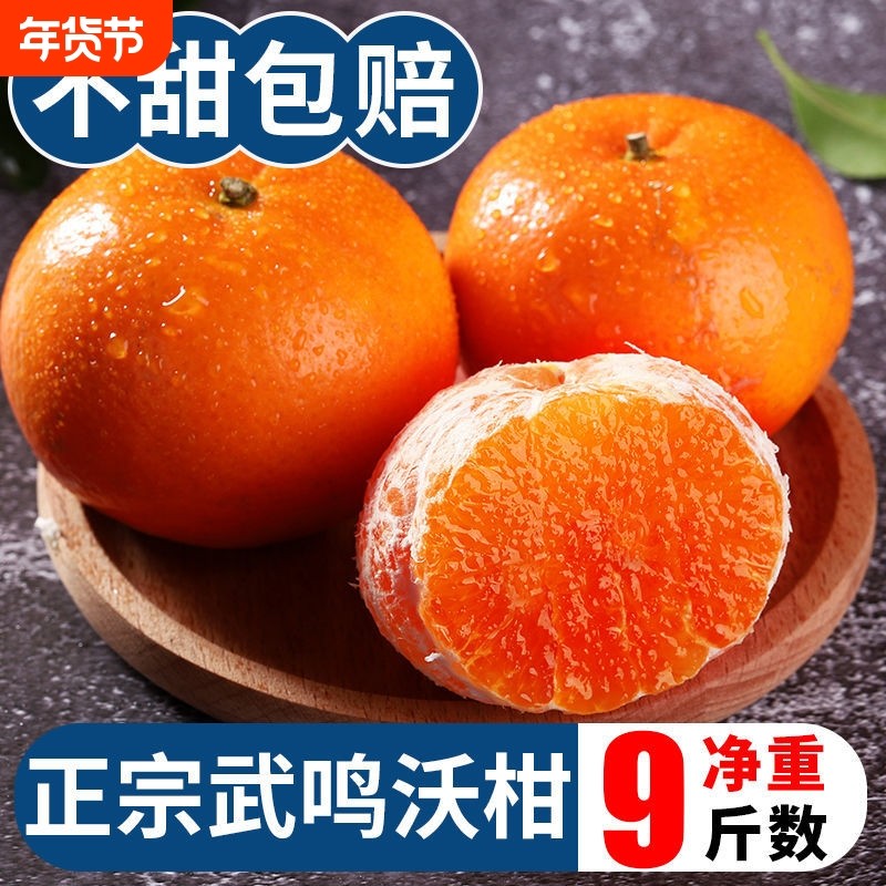 正宗广西武鸣沃柑薄皮柑橘子现摘5斤新鲜桔子水果橘子当季果冻橙