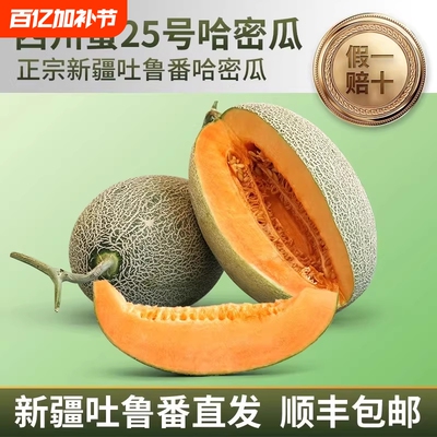 正宗新疆哈密瓜吐鲁番火焰山特级西州蜜25号新鲜水果整箱