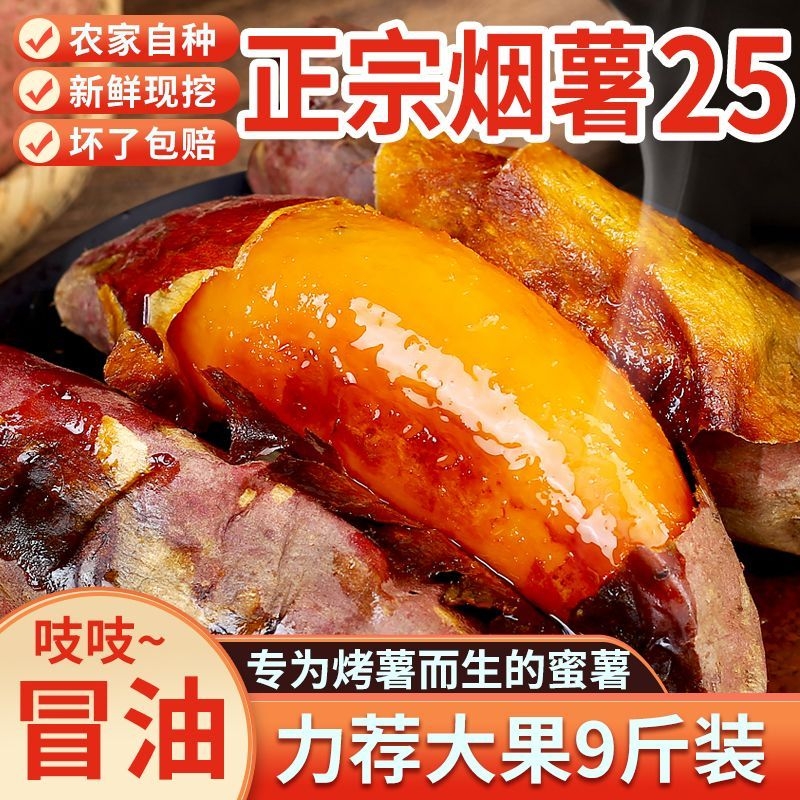 烟薯25号新鲜5斤糖心红薯蜜