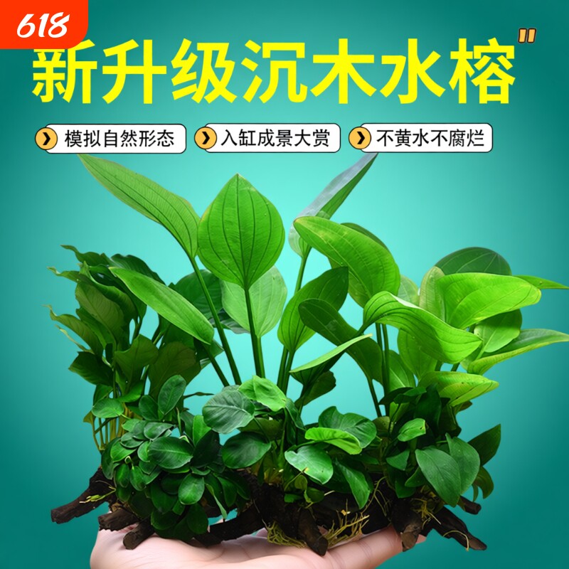 水榕沉木鱼缸水草植物真草水培增氧装饰阴性升级仿真沉木懒人造景