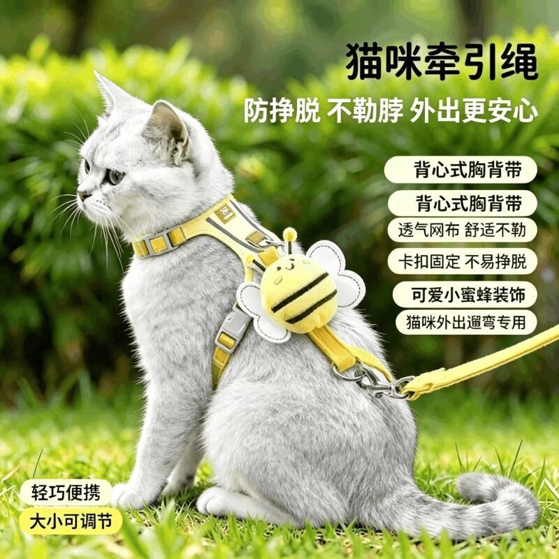 猫咪牵引绳外出防挣脱溜猫绳图片