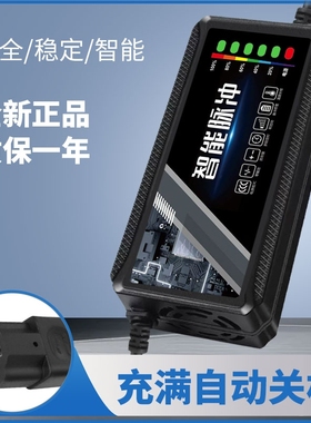 电动车电瓶充电器48v12ah60v20a72v适用于爱玛雅迪三轮铅酸石墨烯