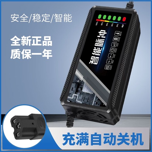 电动车电瓶充电器48v12ah60v20a72v适用于爱玛雅迪三轮铅酸石墨烯