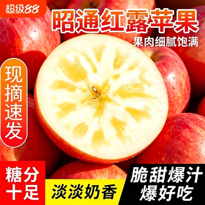 云南昭通红露苹果孕妇水果现摘