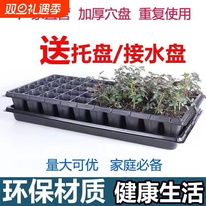 育苗穴盘家庭育苗种植神器套装营养钵蔬菜多肉育种扦插盒农用托盘