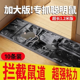 老鼠贴强力粘鼠板家用一窝端抓粘大老鼠胶正品 灭鼠魔毯驱捕鼠神器