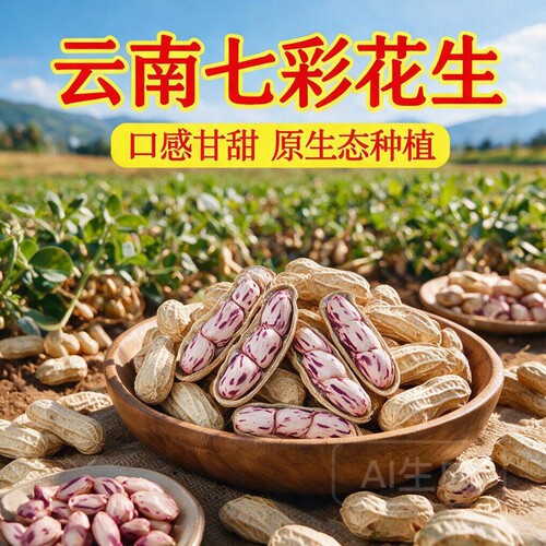 正宗云南七彩花生新鲜新货花生米晒干零食五彩花生米咸干水煮带壳