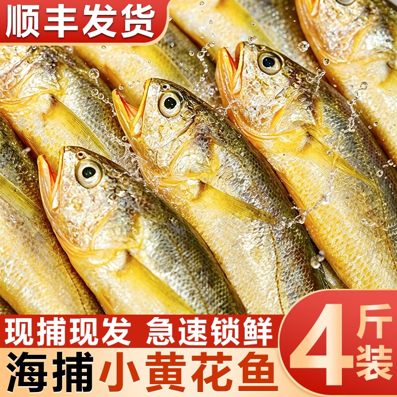 舟山小黄花鱼新鲜冷冻烧烤冰鲜野生深海鲜活黄鱼整箱商用批发水产