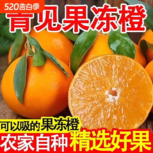 新鲜现摘正宗青见果冻橙四川青见橙子水果新鲜当当季新鲜包邮发货