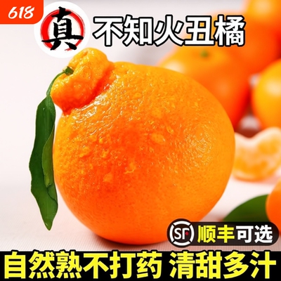 四川丑橘高山新鲜水果当季丑粑粑蜜耙耙桔子柑整箱包邮生鲜告白