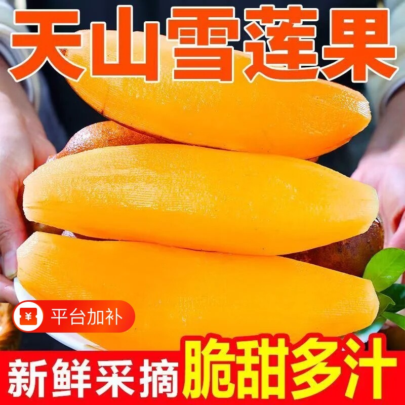 云南天山雪莲果高原新鲜低脂水果沙拉当季水果生鲜脆甜批发包邮