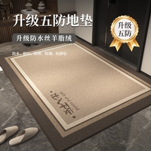 地垫入户门进门地毯门口家用门垫防滑客厅轻奢高级玄关脚垫可裁剪
