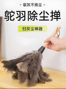 鸵鸟毛静电除尘掸|超4000次加购