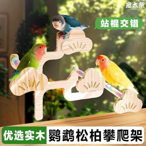 【宠大条】鹦鹉玩具实木攀爬站杆虎皮牡丹解闷啃咬站架松柏攀爬梯