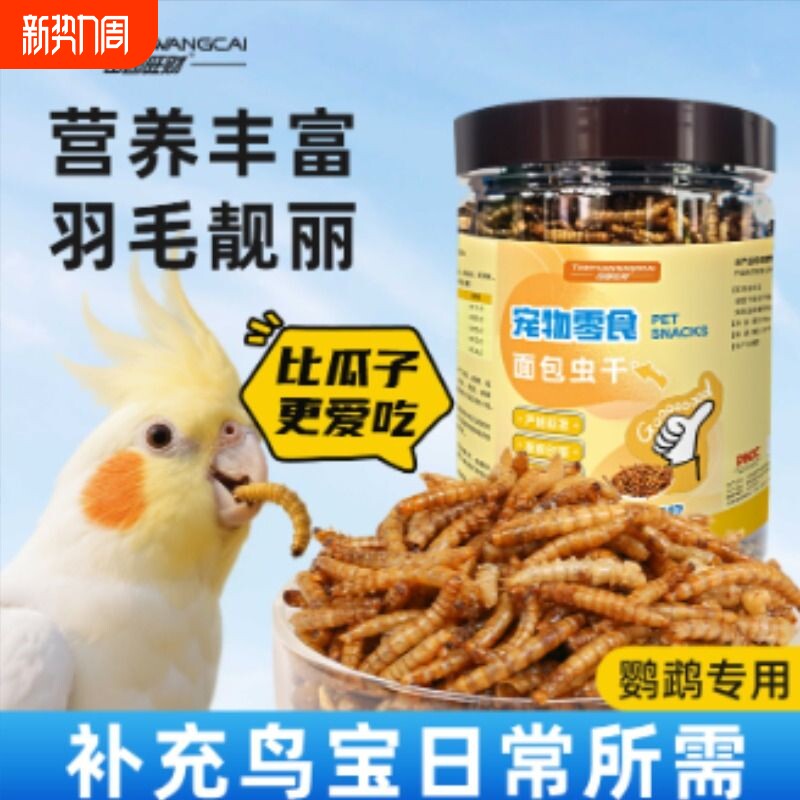鹦鹉适用面包虫干黄粉虫干高蛋白八哥互动零食无盐活体饲料替代品