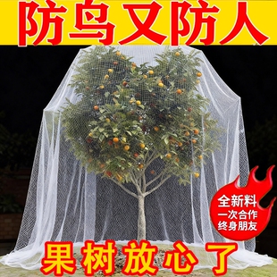 防鸟网果园果树防鸟罩阳台樱桃杨梅树防护网防小鸟神器1.0网草莓