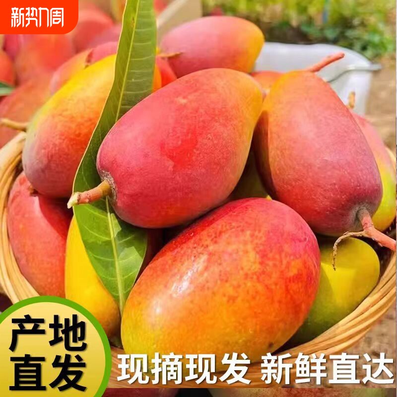 海南贵妃芒芒果新鲜9斤整箱大果水果当季树上熟红金龙辣椒芒