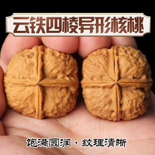 天然丸子云南四棱萌萌药包异形文玩铁核桃手盘把件玩核桃收藏级
