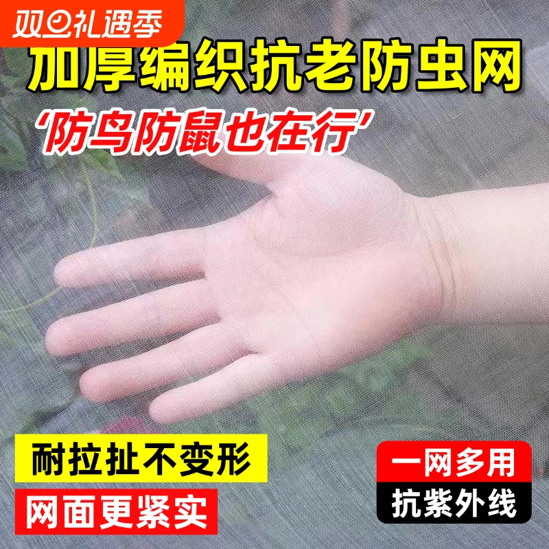 蔬菜防虫网种菜专用纱网100目新型农用加厚网纱果树防蚊虫网罩