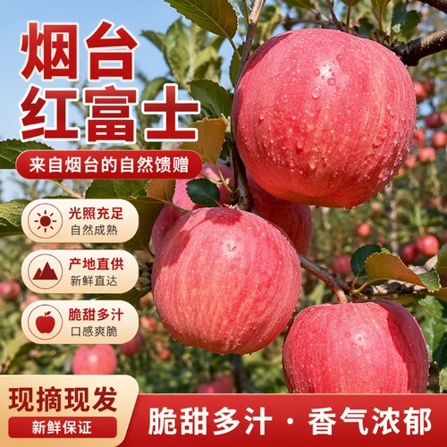 正宗烟台红富士苹果脆甜多汁应季