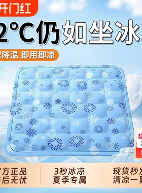椅子夏季冰垫坐垫屁垫夏天办公室冰凉垫学生水垫降温神器久坐冰丝