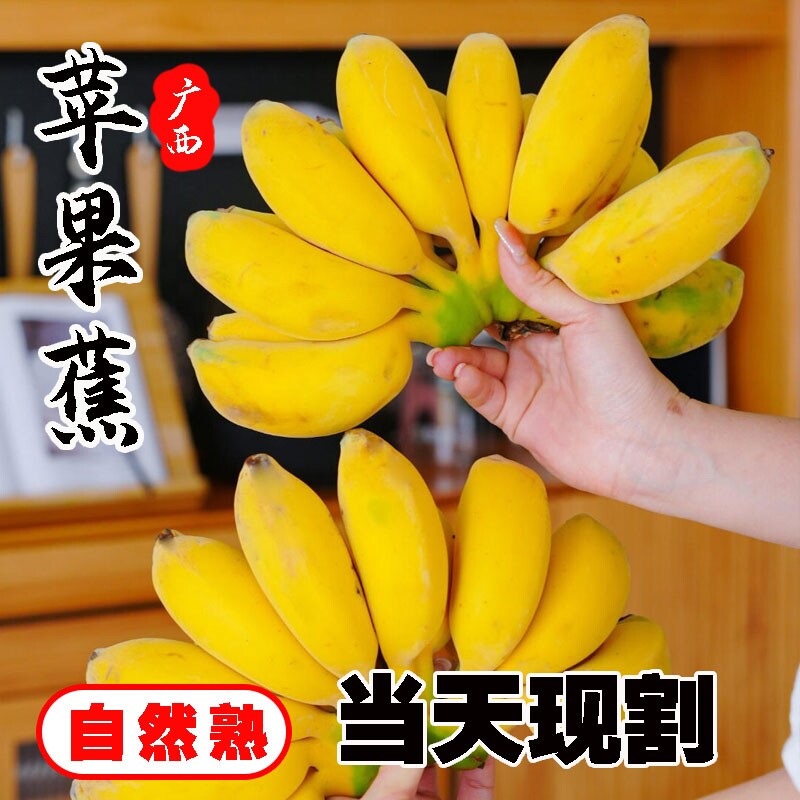 [蕉中皇后]正宗苹果蕉5斤粉香蕉新鲜自然熟当季水果粉蕉非小米蕉