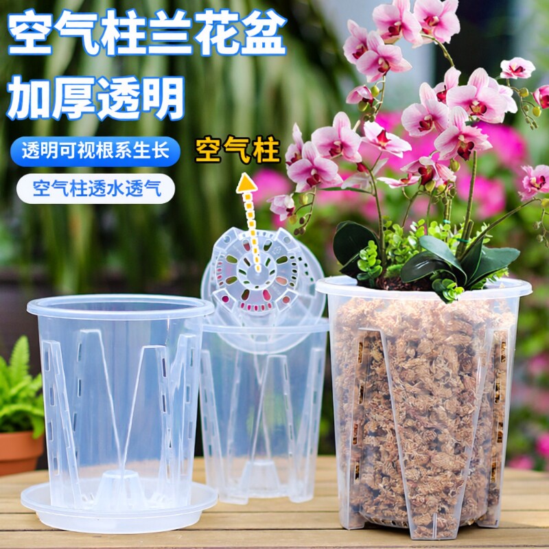 透明树脂控根花盆蝴蝶兰专用盆图片