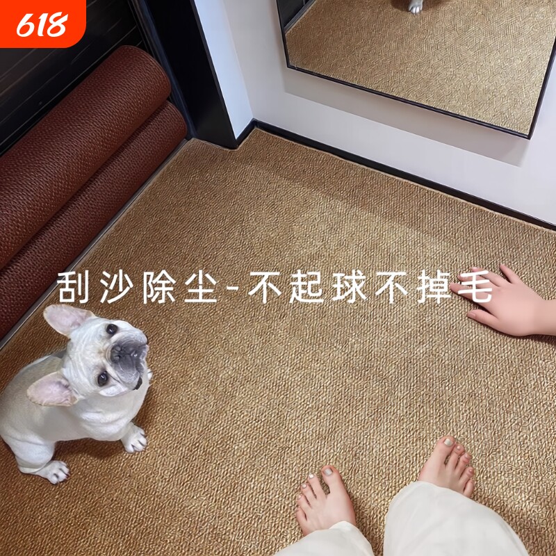 仿剑麻入户门地垫可裁剪可机洗地毯防滑门口进门脚垫卧室玄关室内