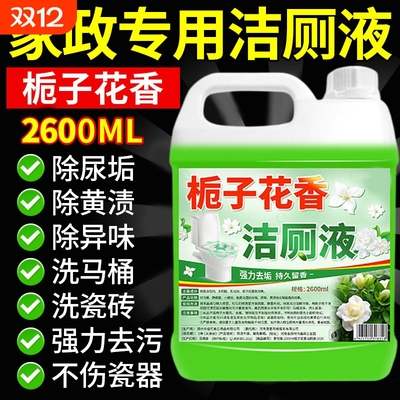 【强去垢】强力除垢除臭洁厕灵