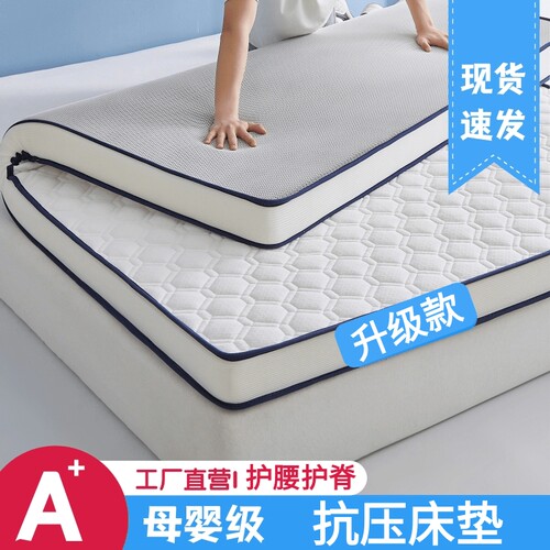四季加厚床垫遮盖物家用软垫