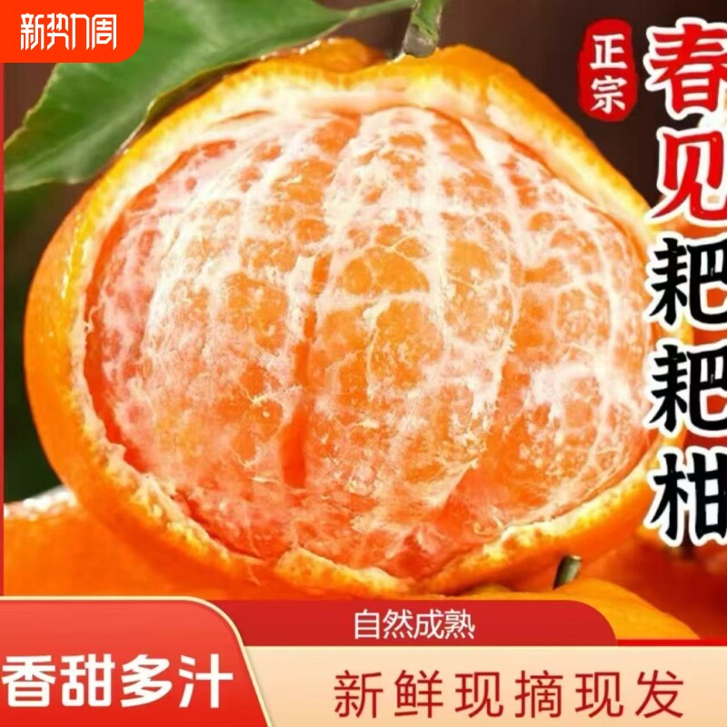 彩箱四川春见耙耙柑新鲜桔子粑粑柑应季水果丑橘橙子净重8斤现摘