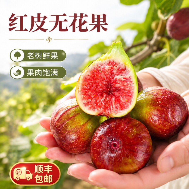 【顺丰包邮】红皮新鲜无花果新鲜水果软糯香甜当季现摘鲜果整箱