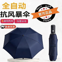 24段骨双龙骨全自动黑胶雨伞