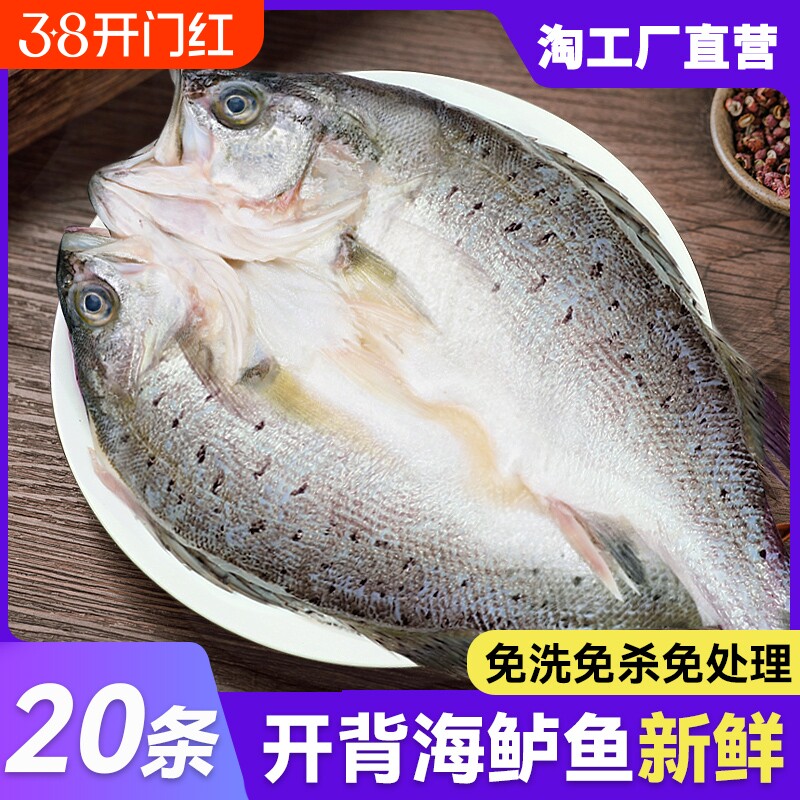 bq海鲈鱼开背新鲜冷冻深海七星鲈鱼鲜活海卢鱼水产烤鱼半成品商用