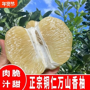 贵州万山香柚冰糖柚柚子甜柚高山脆甜多汁当季新鲜水果非安江柚