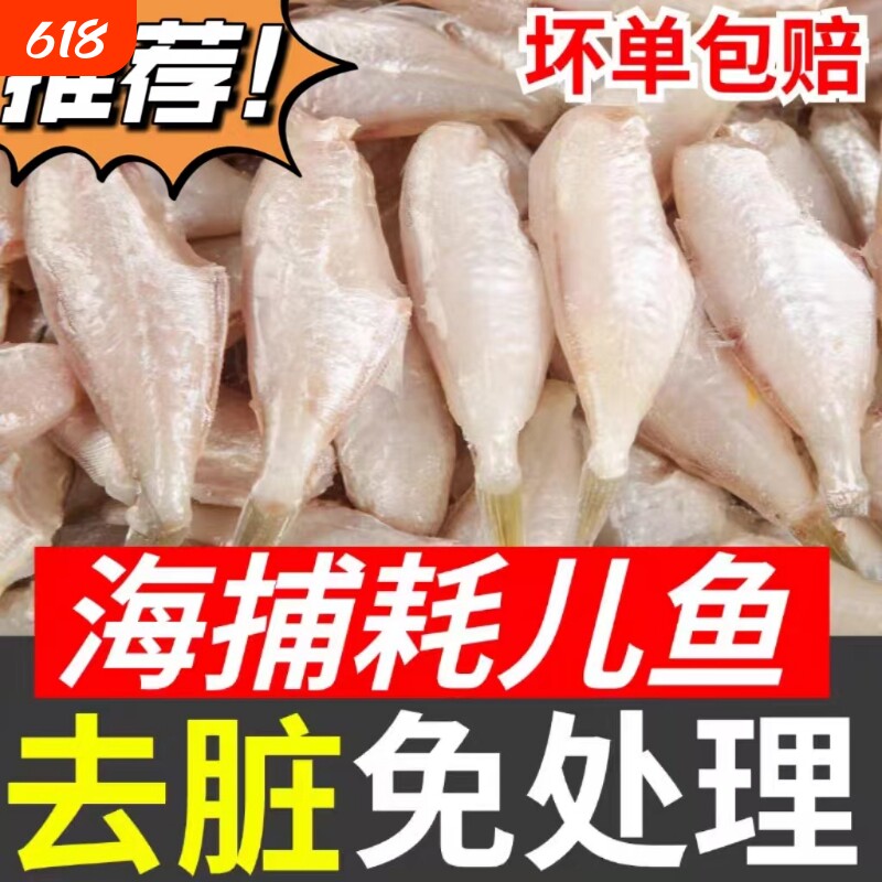 耗儿鱼新鲜马面鱼扒皮老鼠鱼新鲜冷冻冰鲜剥皮鱼火锅整商用