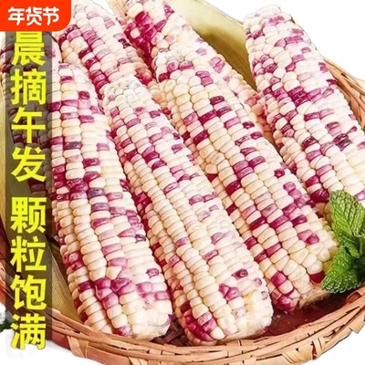广西农家花糯玉米9斤新鲜装