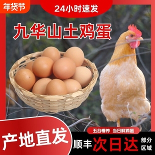皖南土鸡蛋九华山高山散养土鸡蛋竹林蛋50枚产地直发顺丰包邮