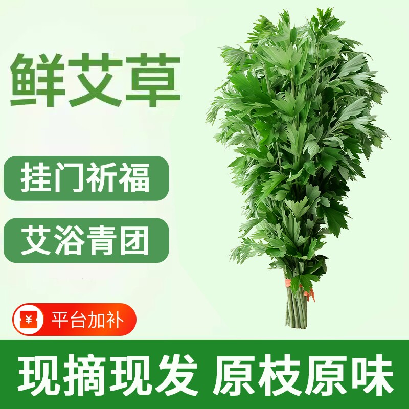 新鲜艾草青艾整棵端午节挂门窗乔迁艾蒿泡澡泡脚艾浴花材礼品花束