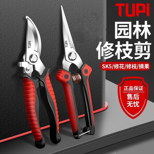 修剪树枝专用剪刀修枝剪刀SK5钢园林园艺果树剪剪子剪枝工具花艺