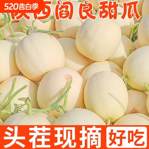 正宗阎良甜瓜脆甜多汁