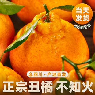 四川丑橘水果新鲜整箱大果时令当季斤耙耙粑粑丑柑橘子采摘爆汁