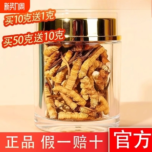 高海拔那曲特级冬虫夏草大断草新货头期干刷官方正品 正宗假一赔十