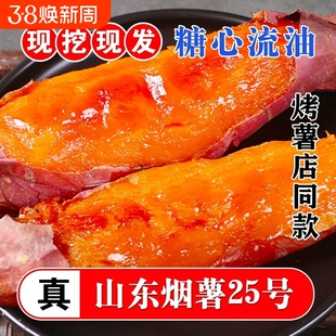 烟薯25号沙地蜜薯糖心红薯小新鲜红皮心烟台农科院烤山芋专用番薯