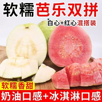 5斤正宗广东水果新鲜产地现摘芭乐甜番石榴白心低糖红心软糯双拼