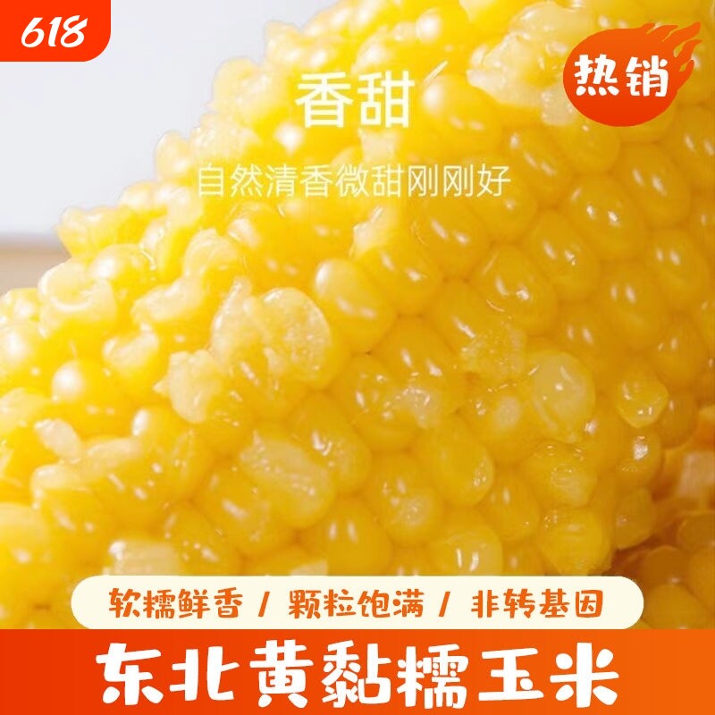 东北黄糯玉米棒新货真空装黄苞米现摘新鲜甜玉米粒粘粗粮早餐必备