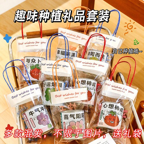 创意植物种植盲盒|超1.6万次加购